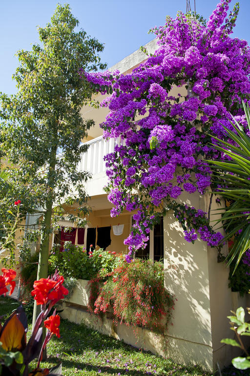 Apartments Angela Budva Exterior photo